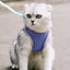 No Pull Pet Harness Dog Vest Harness Breathable Reflective Strips Harness Comfortable Adjustable Soft Padded Harness For Dogs