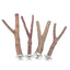 Natural Wood Pet Parrot Raw Wood Fork Tree Branch Stand Rack Squirrel Bird Hamster Branch Perches Chew Bite Toys Stick Supplies