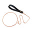 Integrated Dog Slip Chain Collar Leash 304 Stainless Steel Dog Metal Choke Collar Pet Training Leash Show with Leather Handle