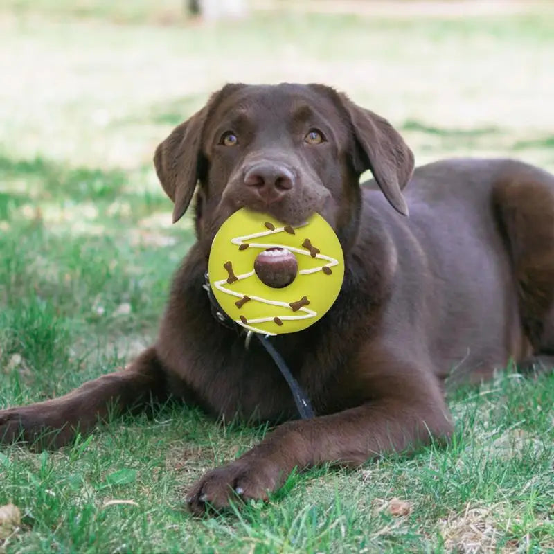 Dog Squeaky Toy Assorted Donut Dog Toy With Squeakers Soft Pet Toy For Puppy Durable Dog Toy For Exercise Chewing Ability And