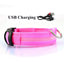 LED Dog Collar USB Rechargeable - Bright & High Visibility Lighted Glow Collar for Small Medium Large Breeds Pet Night Walking