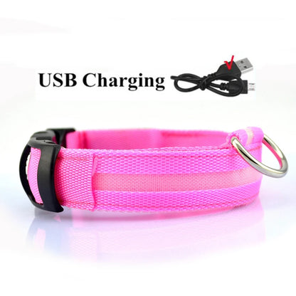 LED Dog Collar USB Rechargeable - Bright & High Visibility Lighted Glow Collar for Small Medium Large Breeds Pet Night Walking