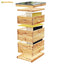 Beekeeping Langstroth Beehive 10 frames Plastic bee hive