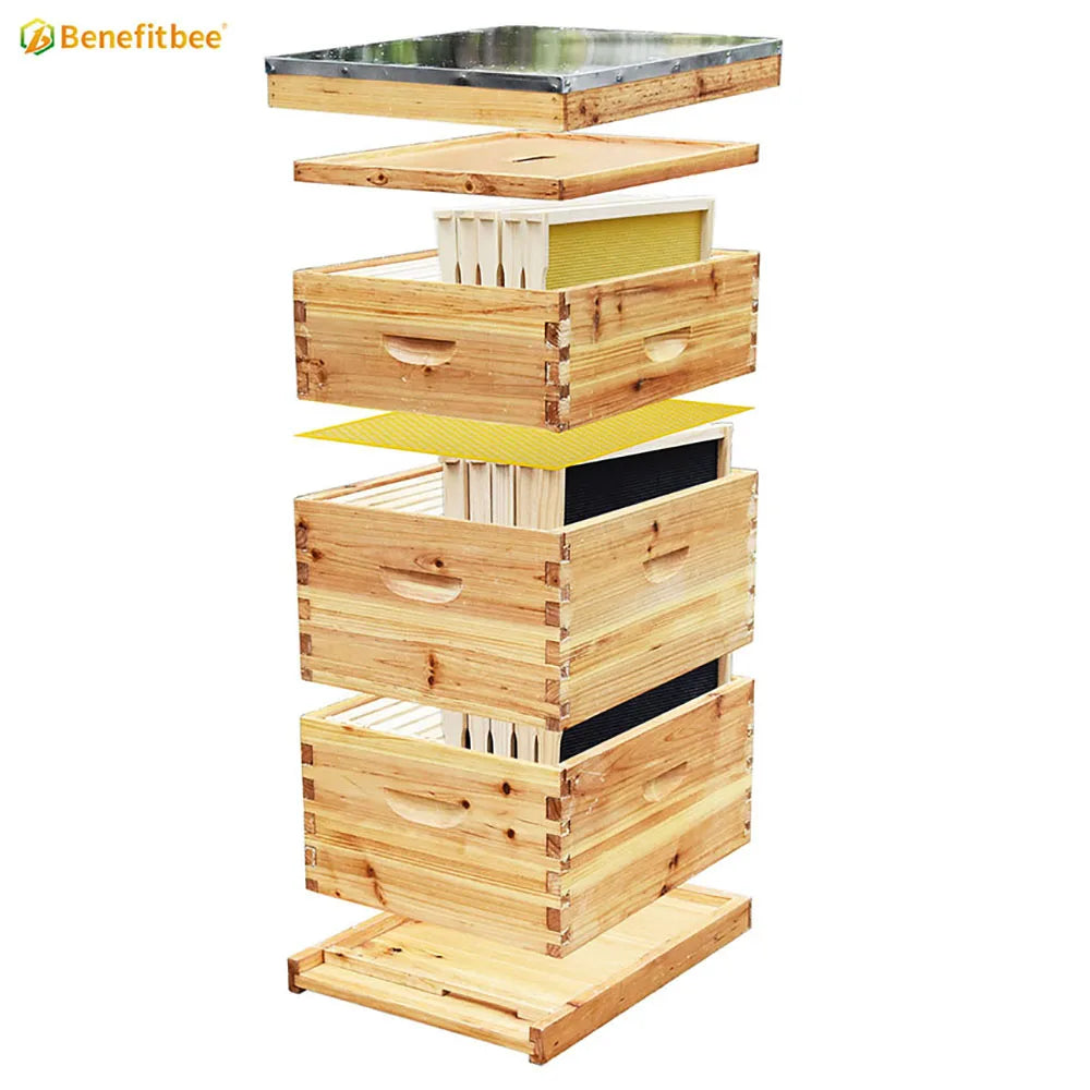Beekeeping Langstroth Beehive 10 frames Plastic bee hive