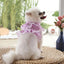 Pink Flower Puppy Harness Mesh Breathable Small Girl Dog Cat Vest Harness Cute Doggy Lace Dress Harness with Leash for Walking