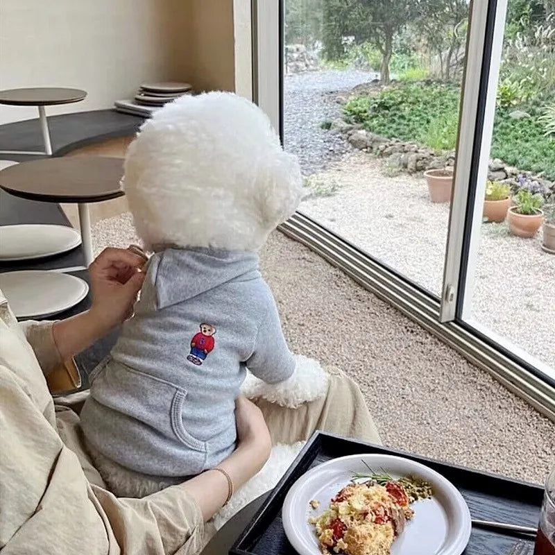 Luxury Dog Clothes Thin Dog Hoodies for Small Dogs Pet Dog Coat Leisure Dog Pullover Chihuahua Poodle Bichon Puppy Cat Apparel