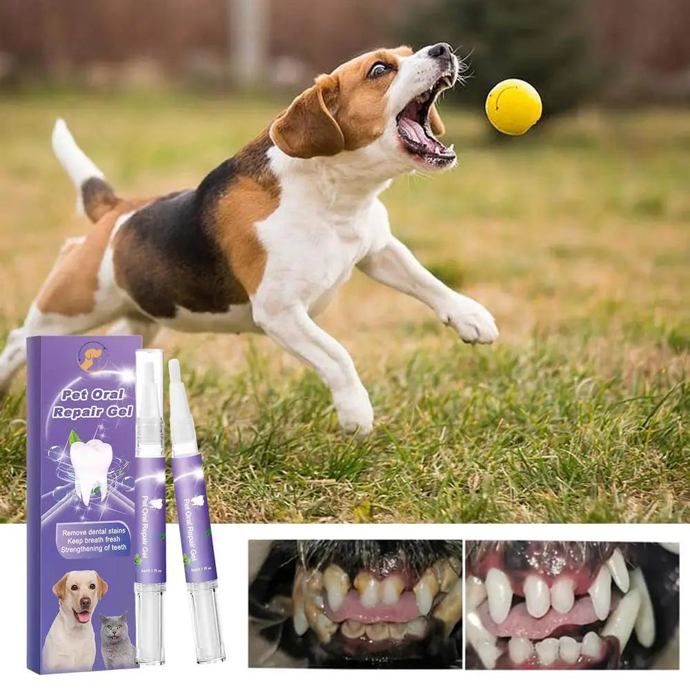 Pet Oral Gel Pet Oral Repair Gel Cleaning Dog Cat Teeth Natural Teeth Cleaning Tools Dental Stain Cleaning Pen Care Cleaner
