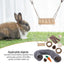 11Pcs Combination Hamsters Rabbit Toys Tunnel Set Toy Hamster Toys Set Pet Rabbit Guinea Pig Parrot Play Molar Wooden Supplies