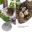 2PCS Canary Finch Bird Nesting Felt Pad Comfortable Bird Nest Sleeping Mat Bird Nest Accessories Dropshipping And Wholesale