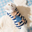 Striped Pet Dog Jumpsuit Spring Autumn Medium Small Dog Clothes Cute Bear Pattern Pet Pajamas Kitten Puppy Sweatshirt Dog Coat