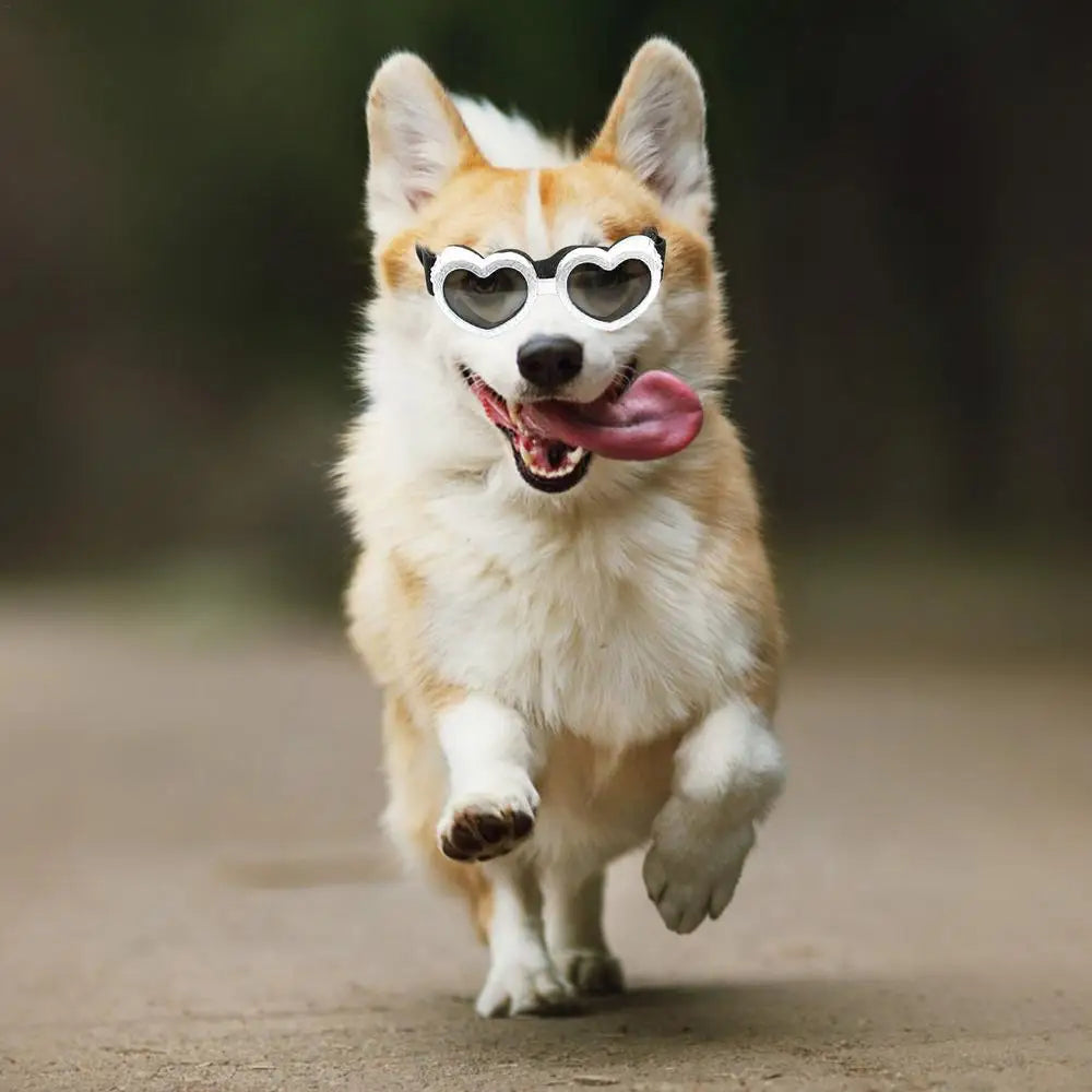 Heart-shaped Dog Sunglasses UV Protection Sun Glasses With Adjustable Strap Anti-Fog Goggles  Puppy Outdoor Eyes Protections