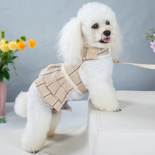2023New Dog Harness Elegant Comfortable Breathable Pet Dress Collar For Small Dogs Fashion Lovers Vest Dog Harness and Leash Set