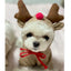 Funny Pet Dog Cat Halloween Costume Dog Costumes for Small Dogs Cosplay Elk Transformed Winter Warm Dog Clothes