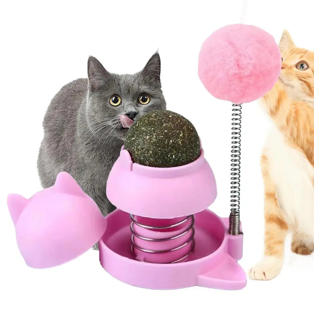 Catnip Ball for Cats Wall Rotatable Cat Licking Balls Edible and Healthy with Spring Ball Cat Licking Balls for Cats Catnip
