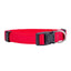 Basic Nylon Dog Collar with Quick Release Buckle Adjustable for Small Medium Large Dogs Bulldog Training Supplies Pet Accessorie