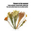 Flower And Plant Bedding Natural Hamster Bedding Hamster Deodorizing Bedding Small Animal Deodorant Product Landscaping Supplies