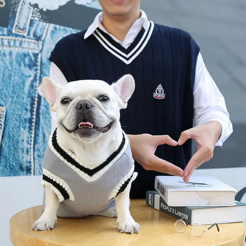 Pet College Style Sweater College Style V-neck Teddy knitted Vest Sweater Winter Warm Chihuahua French Bulldog Yorkie Coat