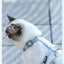 Cartoon Nylon Pet Dog Collar Accessories Anti Break Cat Small Puppy H-Shaped Harness Leash Set Travel Chihuahua Pet Accessories