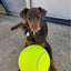 Giant Tennis Ball For Dog Chew Toy Pet Dog Interactive Toys Big Inflatable Tennis Ball Pet Supplies Outdoor Cricket Dog Toy