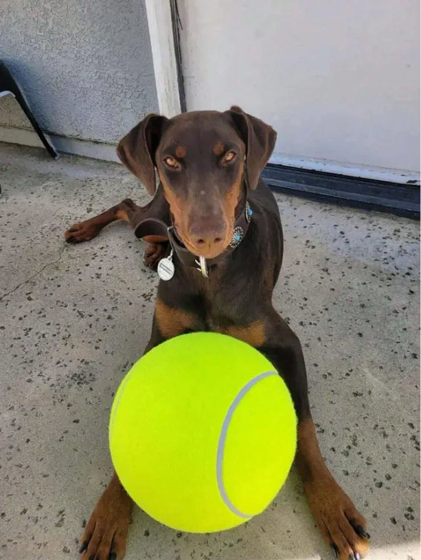 Giant Tennis Ball For Dog Chew Toy Pet Dog Interactive Toys Big Inflatable Tennis Ball Pet Supplies Outdoor Cricket Dog Toy