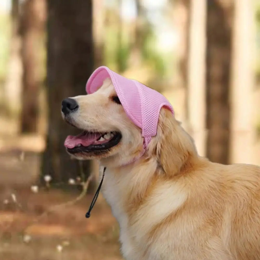 Pet Hat Dog Baseball Hat Sun Visor Hat With Ear Holes Dog Outdoor Sport Sun Protection Baseball Hat For Small To Large Dogs