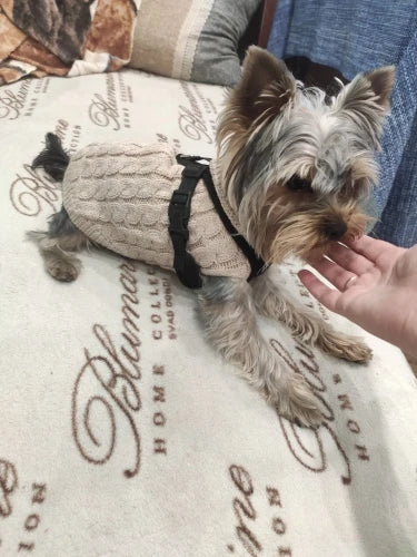 Warm Dog Clothes Knitted Clothes for Dogs Chihuahua Sweater for Small Dogs Winter Clothes for Sphinx Cat Dog Sweater for York