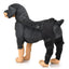 Dog Hip Brace Adjustable Pet Dog Legs Protector Supporter Knee Brace Rear Leg Support Joint Wrap for Pets Legs Recover Supplies