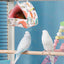 Parrot Bed Warm House Hideout Cushion Bed For Parrot Plush Cushion For Parrots Lovebirds Parakeets And Small And Medium Birds