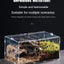Reptile Acrylic Transparent Terrarium Breeding Box Turtle Cage Nano Arboreal Tarantula Enclosure Dearded Dragon Reptiles Habitat