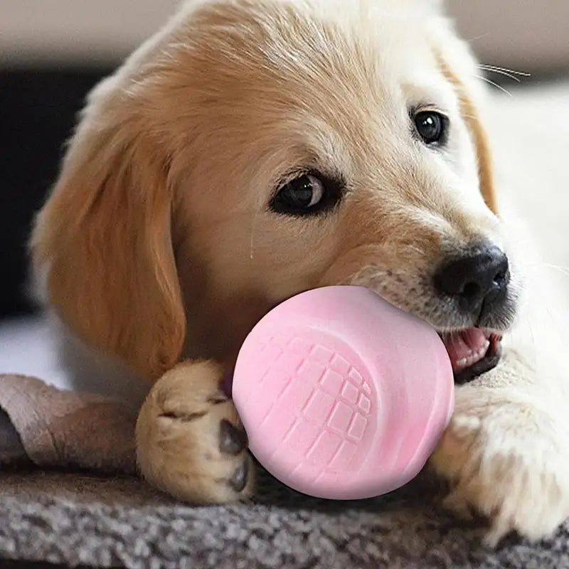 Pet Tennis Ball Dog Ball Toy Puppy Chewing Interactive Biting Toy Durable Bite Resistant Puppy Training Toys Outdoor Playing toy