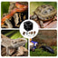 Terrarium For Reptile Snail Arcylic Breeding Box Wolf Spider Jumping Spider Snail Scorpion Durable Invertebrate Breeding Box