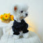 Sweet Princess Female Puppy Summer Clothes Wedding Party Dress for Dogs White Lace French Bulldog Small Medium Pet Cat Clothing