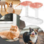 Cat Dishes For Food And Water Height Adjustable Pets Water And Food Bowl Set Large Capacity Cat Food Feeder And Waterer Set For