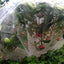 Garden Plant Insect Netting Vegetable, Flower and Fruit Care Cover Netting Pest Control Bird-proof 60 Mesh Protective Netting