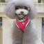 Dog Clothes Shirt Pet Cooling Vest Small Dogs Comfortable Costume Puppy Outfits Breathable Clothes Yorkshire Terrier Chihuahua