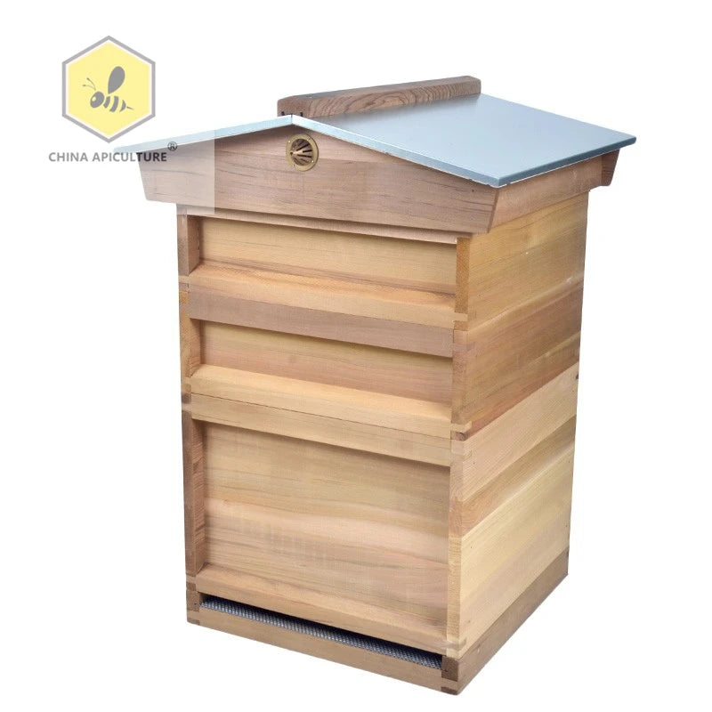British market national hive UK beehives