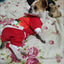 Christmas Dog Coat Sweater Chihuahua Pet Clothes New Year Pets Dogs Clothing For Small Medium Dogs Costume Warm Dog Hoodies