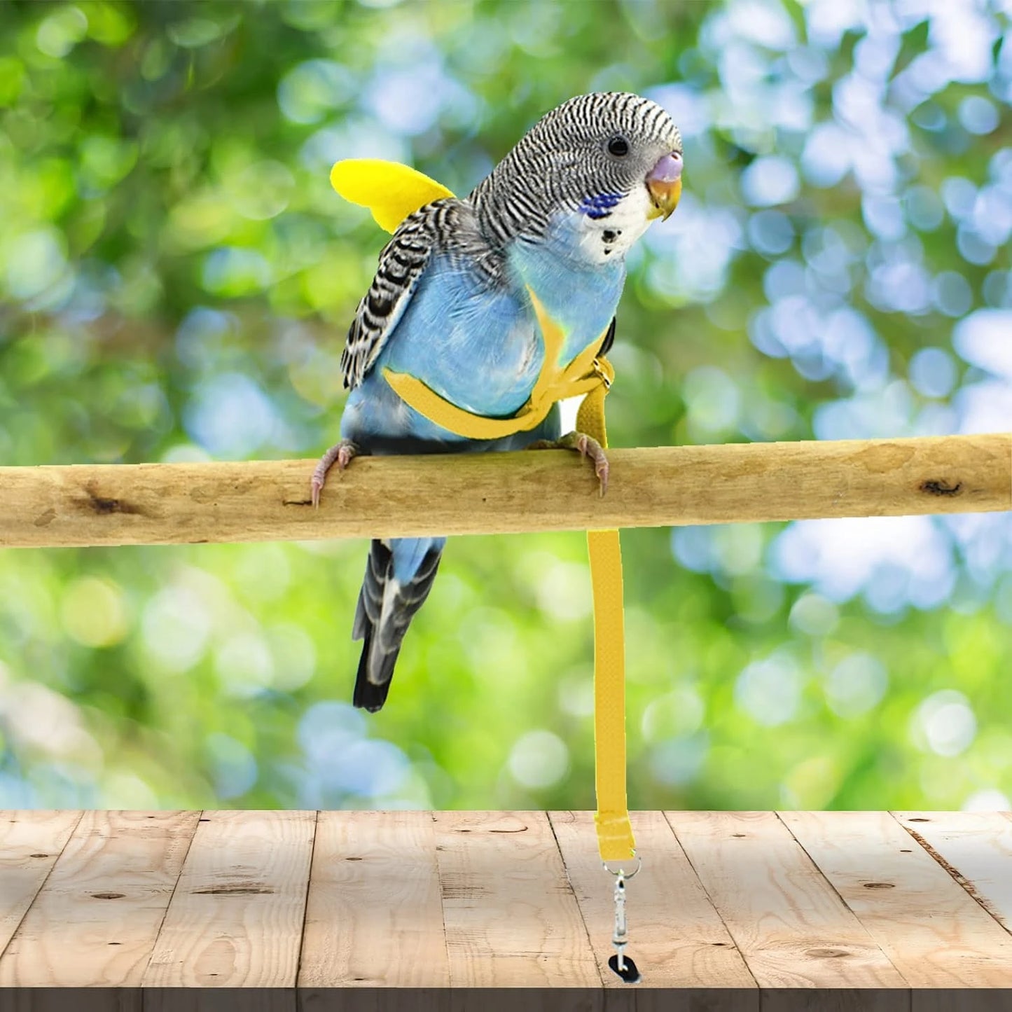 Pet Parrot Harness Adjustable Elastic Nylon Traction Rope Parrot Bird Flying Training Harness Leash Set for Small Medium Parrot