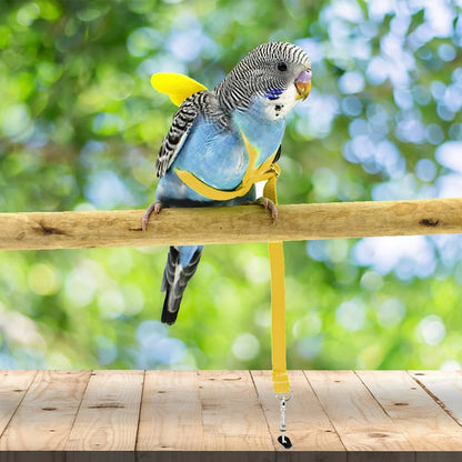 Pet Parrot Harness Adjustable Elastic Nylon Traction Rope Parrot Bird Flying Training Harness Leash Set for Small Medium Parrot