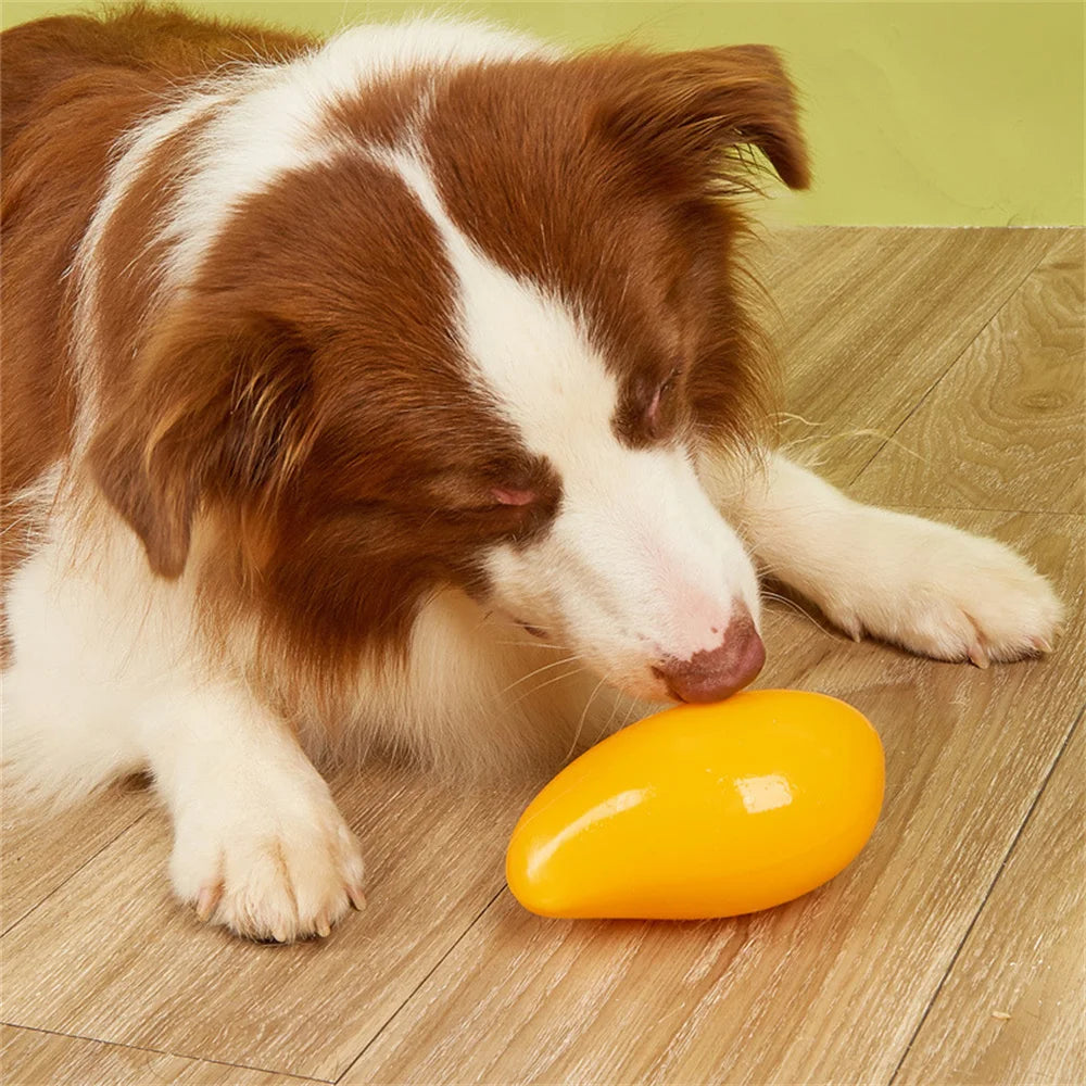 Safety TPR Squeaky Dog Toys Bite Resistant Pet Chew Toy for Puppy Medium Large Dogs French Bulldog mascotas Interactive Products
