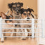 Pet Fence Portable Retractable Pet Dog Gate Easy Installation Cat And Dog Fence Indoor Fence for doorways Stairs Hallways
