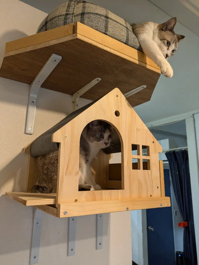 Cat Wall Mounted Wooden Climbing Shelves Cat House and Hammock for Platform and Ladder Turning Channel for Cat Indoor Furniture