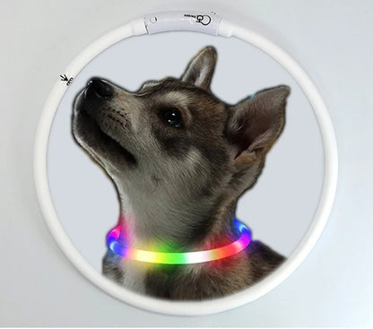 4 Modes Dog Luminou Charge Collar Led Usb Cat Silicone Colorful Collar Detachable Night Glow Pet Loss Prevention Dog Accessories