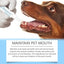 Pet Toothbrush Pen Safe Teeth Cleaning Pen Dog Toothbrushes Refreshing Pet Toothbrush Pen With Tip Design For Pet Dog Puppy Cat