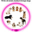 Dog Collar Luminous Usb Cat Dog Collar 3 Modes Led Light Glowing Loss Prevention LED Collar For Dogs Pet Dog Accessories