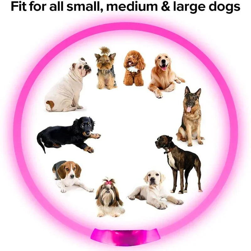 Dog Collar Luminous Usb Cat Dog Collar 3 Modes Led Light Glowing Loss Prevention LED Collar For Dogs Pet Dog Accessories