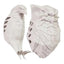 Halloween Bird Wall Lamp Owl Eagle Shape Projector Modern Creative Atmosphere Sconce Light 3D Print Body Animal Lighting Lustre
