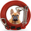 Dog Tie Out Cable Leash with Spring, Double-Headed Steel Wire Rope, Outdoor Dogs Straps, Running Rope for Small Big Dogs
