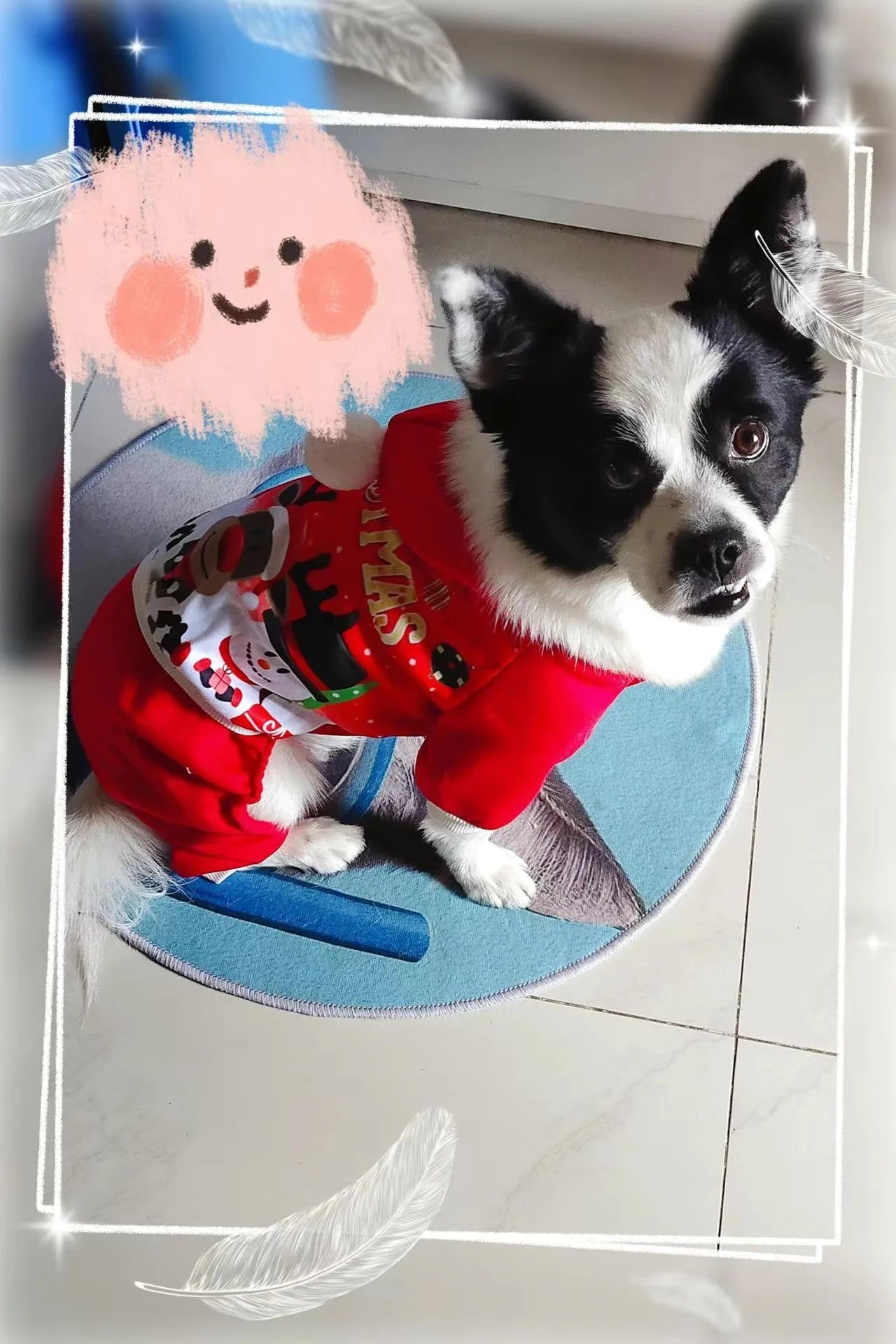 Christmas Dog Coat Sweater Chihuahua Pet Clothes New Year Pets Dogs Clothing For Small Medium Dogs Costume Warm Dog Hoodies