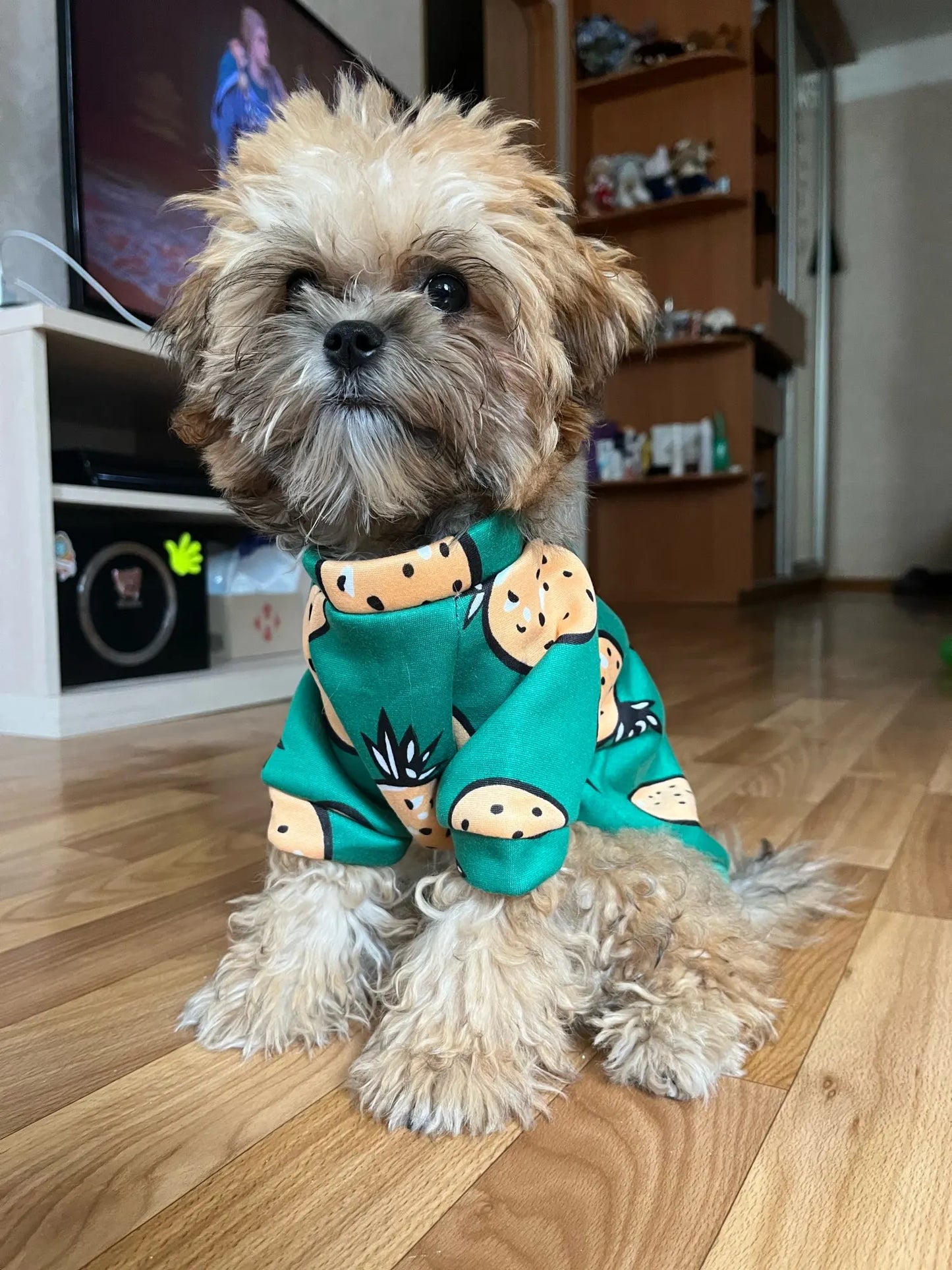 Xs Dog Clothes for Small Dogs Girl Puppy Clothing for Small Dogs Boy Cat Jacket Personalise Pet Shirts for Pug Chihuahua Bulldog